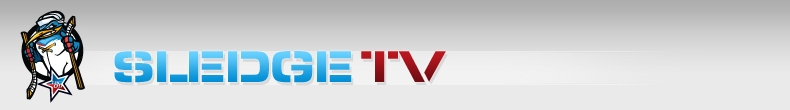 Logo WebTV VHK Vset�n
